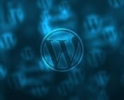 Wordpress поддръжка